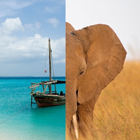 PARCHI DELLA TANZANIA + ZANZIBAR DESTINAZIONI VIAGGI DI NOZZE