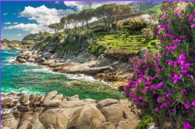 ISOLA D'ELBA VIAGGI DI GRUPPO